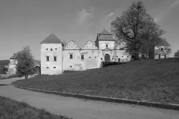 Tipos Arquitetônicos Castelo Svirzh Castelo Velho — Fotografia de Stock