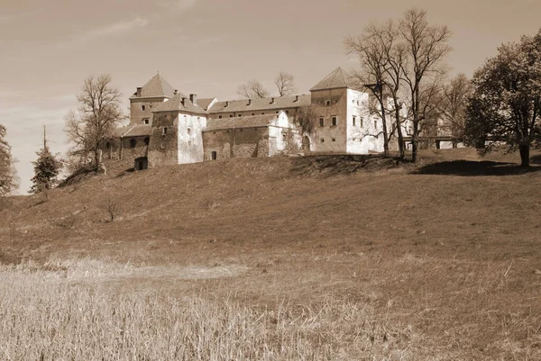 Архитектурные Типы Свиржский Замок — стоковое фото