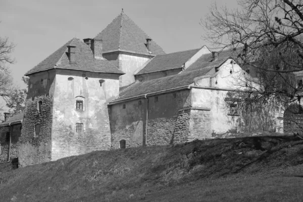 Architektonische Typen Svirzh Castle Alte Burg — Stockfoto