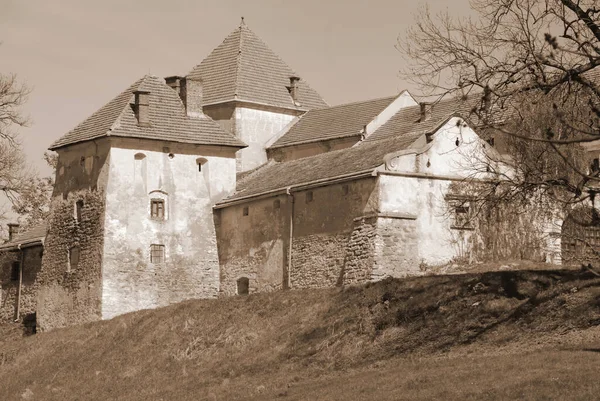 Architektonische Typen Svirzh Castle Alte Burg — Stockfoto