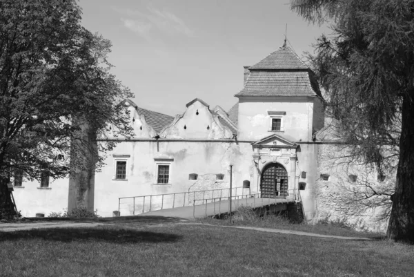 Tipos Arquitectónicos Castillo Svirzh Antiguo Castillo — Foto de Stock