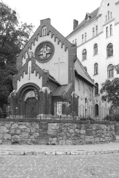 Church John Baptist Lviv — ストック写真