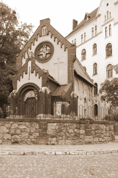 Kirche Johannes Des Täufers Lemberg — Stockfoto