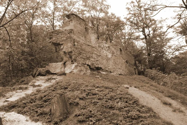 Restos Muro Defesa Velho Castelo — Fotografia de Stock