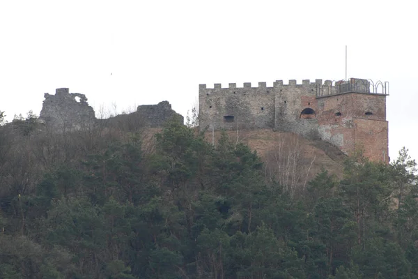 Vue Générale Colline Château — Photo