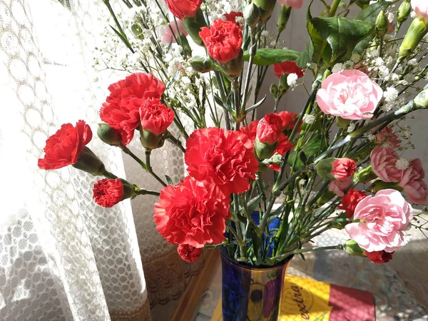 Karanfil. Dinthus, karanfiller (Caryophyllaceae) familyasından bir bitki cinsidir.