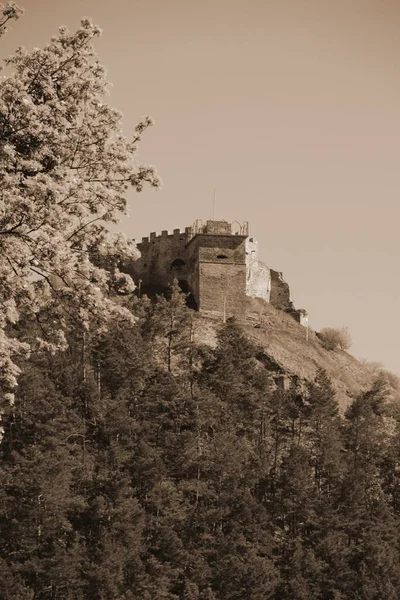 Vue Générale Colline Château — Photo