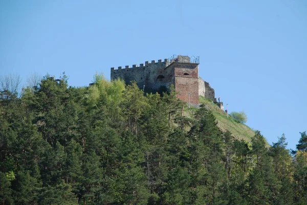 Vue Générale Colline Château — Photo