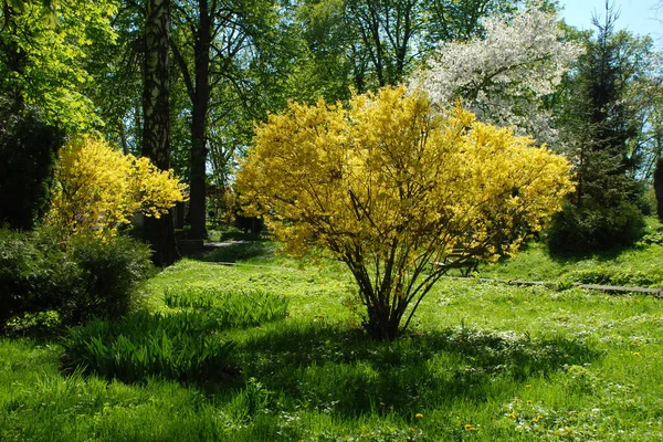 Eski parkın arka sokağı.