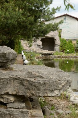 Göletin üzerine park et.