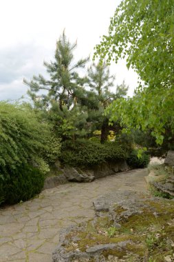  Eski parkın arka sokağı.