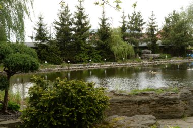 Göletin üzerine park et.