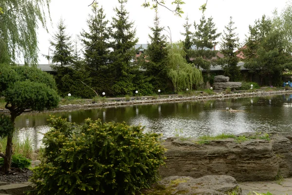 Göletin üzerine park et.