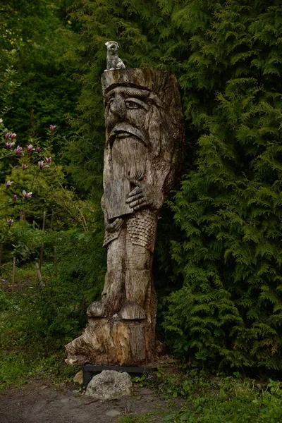公園内の木彫は — ストック写真