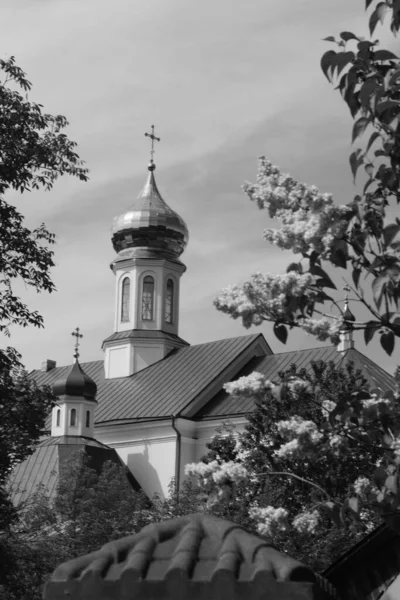 Aziz Niklas Katedrali Fransisken Manastırı — Stok fotoğraf