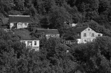  Ukrayna köyündeki ahşap ev. Ormanın kıyısındaki köy.