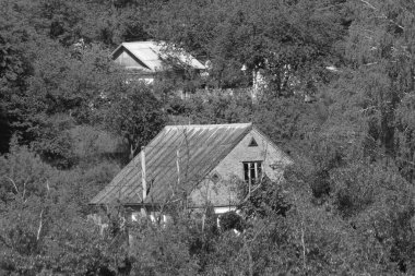  Ukrayna köyündeki ahşap ev. Ormanın kıyısındaki köy.
