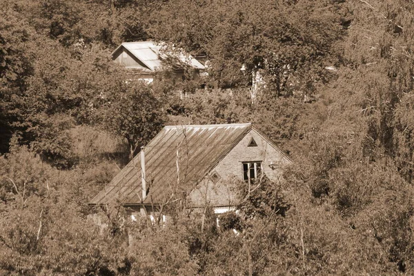 ウクライナの村の木造住宅 森の端の村 — ストック写真