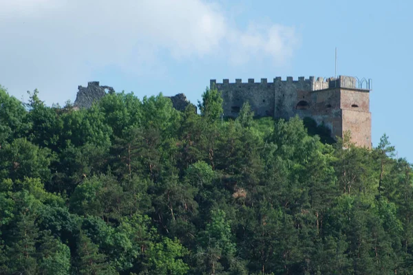 Vista Geral Colina Castelo — Fotografia de Stock