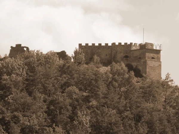 Γενική Άποψη Του Λόφου Castle — Φωτογραφία Αρχείου