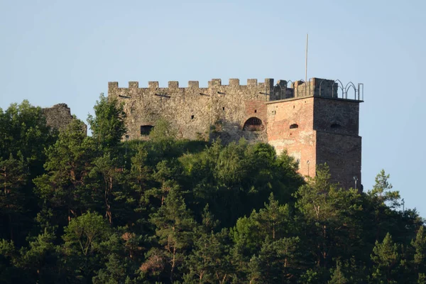 Vista Geral Colina Castelo — Fotografia de Stock