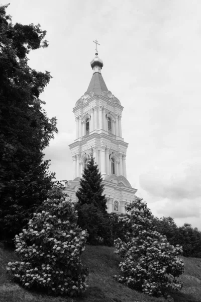 Monasheskyy Building Epiphany Monastery Great Church Catalpa Genus Flowering Trees — Stock Photo, Image