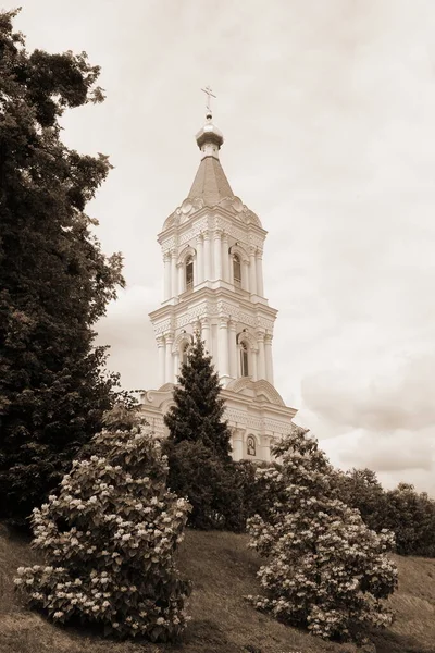 Monasheskyy Épület Vízkereszt Kolostor Nagy Templom Catalpa Egy Nemzetség Virágzó — Stock Fotó
