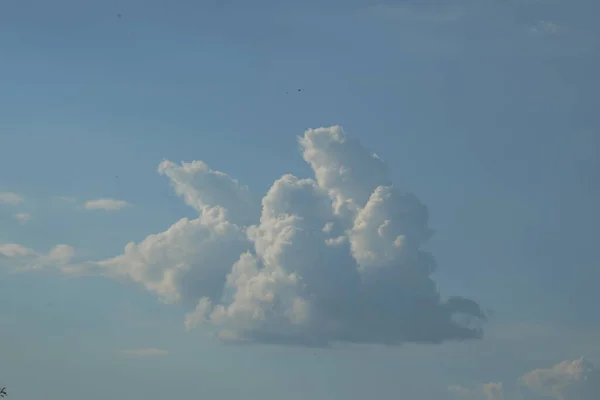 空の白い積雲 — ストック写真