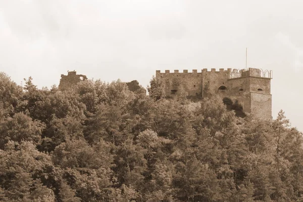 Vue Générale Colline Château — Photo