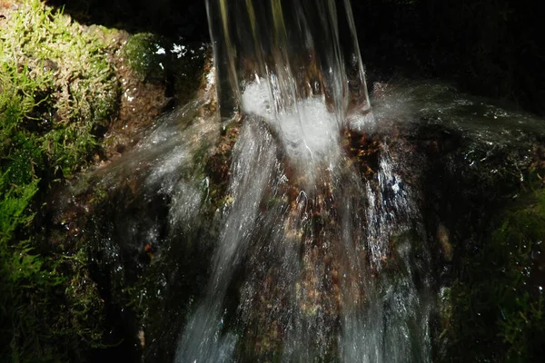 Mountain Stream Stream Brook Brook Watercourse Waterfall — 스톡 사진