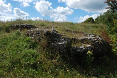 Rocky, sığ, dağ yamacı