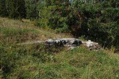 Rocky, sığ, dağ yamacı