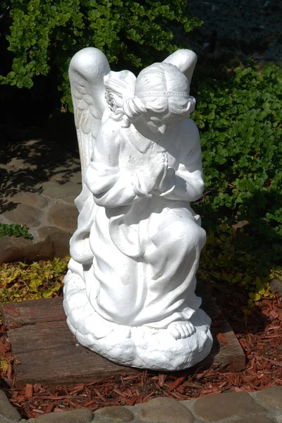 Plaster Sculpture Angel — Photo