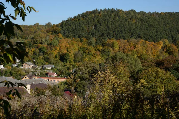 Velha Floresta Mista Outono Casa Madeira Aldeia Ucraniana Nos Arredores — Fotografia de Stock