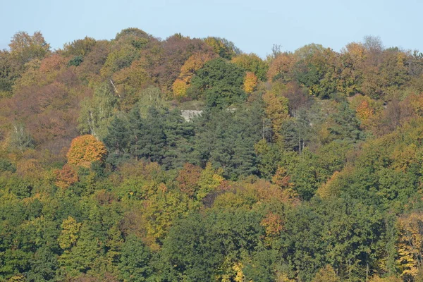 Antiguo Bosque Mixto Otoño — Foto de Stock