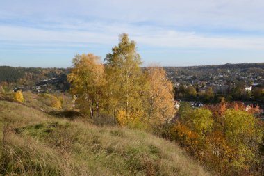 Eski karışık sonbahar ormanı. Eski karışık sonbahar ormanı. Birch (Btula), huş ağacından (Betulaceae) yaprak döken ağaçların ve çalıların bir cinsidir.)