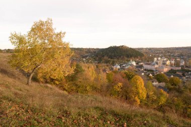 Eski kasabada Noel ağacı. Noel ağacı, eski kasaba. St. Nicholas Katedrali. Fransisken Manastırı. Castle Hill 'in genel manzarası.
