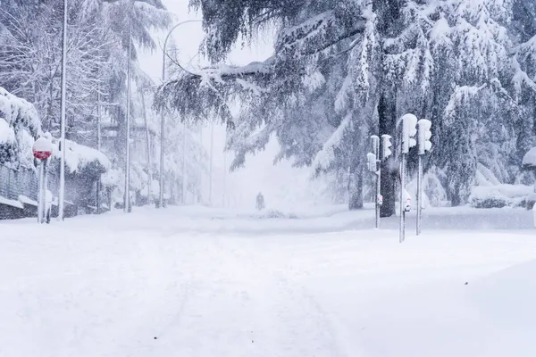 Utsikt över en stadsgata täckt av snö under kraftigt snöfall med fallna träd — Stockfoto