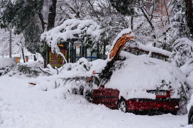 Yoğun kar yağışı sırasında şehirde sıkışmış bir araba ve devrilmiş bir ağaç.