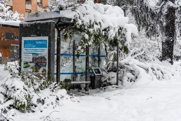 Fallen tree on bus stop in the city during heavy snowfall storm in Madrid — Stock Photo, Image