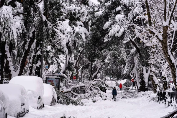 Vista de la calle cubierta de nieve con árboles caídos durante la fuerte tormenta de nieve Filomena en Madrid — Foto de Stock