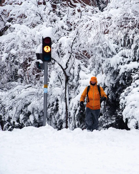 Man går på en stadsgata täckt av snö under kraftigt snöfall med fallna träd — Stockfoto