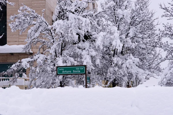 Gatuvy täckt av snö med fallna träd under kraftiga snöfall storm Film i Madrid — Stockfoto