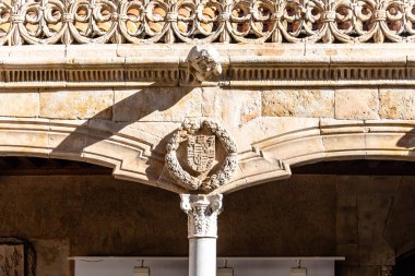 İspanya, Salamanca 'daki Casa de las Conchas avlusu