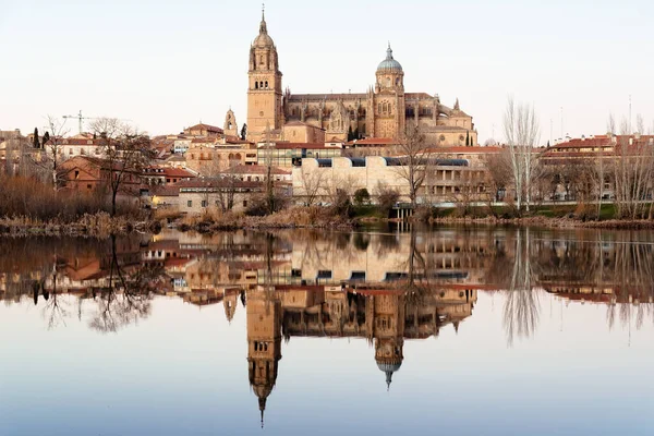 Cityscape of Salamanca and its caCathedral refled in the River — стокове фото