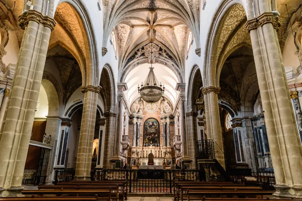 Elvas Portugal July 2022 Interior View Our Lady Assumption Cathedral — Foto de Stock