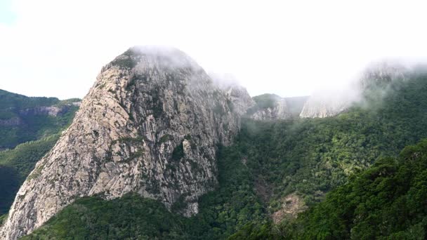 西班牙加那利群岛La Gomera的Garajonay国家公园 雾飘落在山上 — 图库视频影像