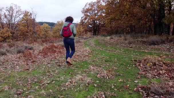 Flygfoto Uppifrån Drönare Bild Bok Och Skog — Stockvideo