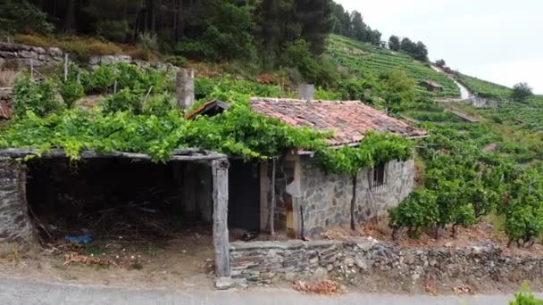 Uitzicht Hooggelegen Heuvelachtige Wijngaarden Ribeira Sacra Galicië Sil Rivier — Stockvideo