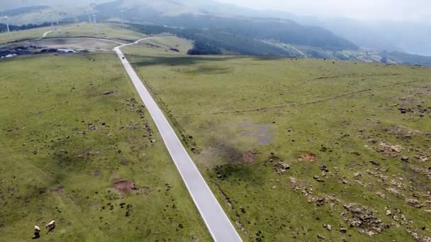 Drón Légi Kilátás Costa Artabra Galíciában Zöld Rétek Lovakkal Legelő — Stock videók